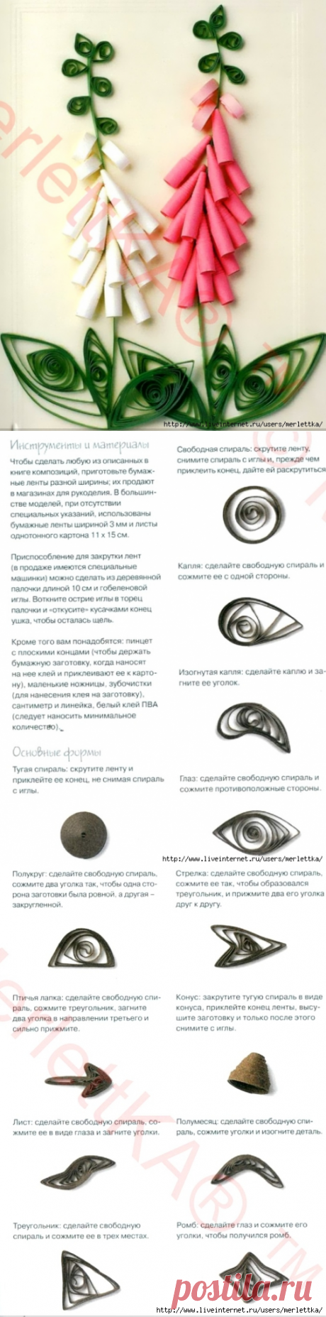 КВИЛЛИНГ ☼ ОСНОВЫ (ЦВЕТЫ ИЗ БУМАЖНЫХ ЛЕНТ) / Всё из мира рукоделия (изучаю и делюсь различными техниками и видами рукоделия)