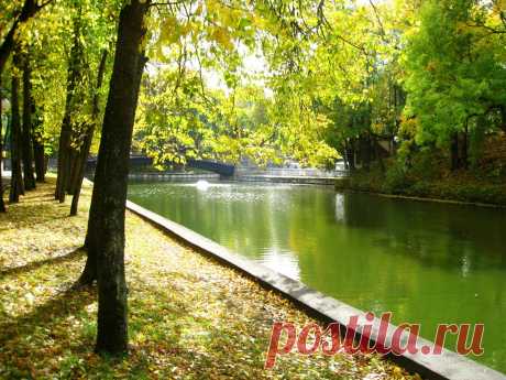 Пруд в Лопатинском саду в Соленске.   ----     Pond In Lopatinsky  Garden  Free Stock Photo HD - Public Domain Pictures