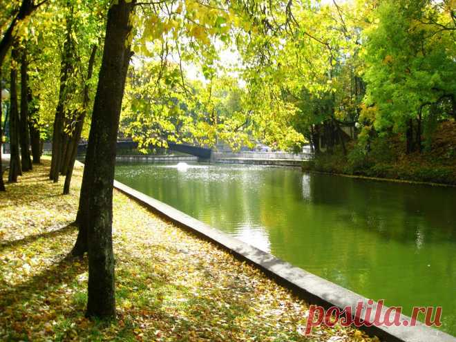 Пруд в Лопатинском саду в Соленске.   ----     Pond In Lopatinsky  Garden  Free Stock Photo HD - Public Domain Pictures