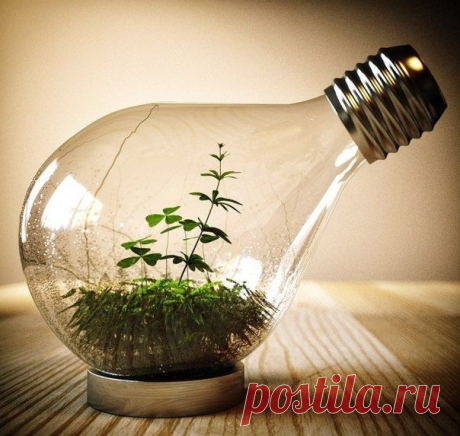 Используем старые лампы.
