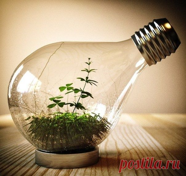 Используем старые лампы.