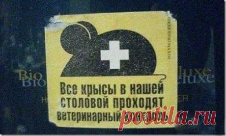 Наша жизнь: Смешные надписи и объявления)) - 16 Сентября 2014 - Наша планета.Новости экологии