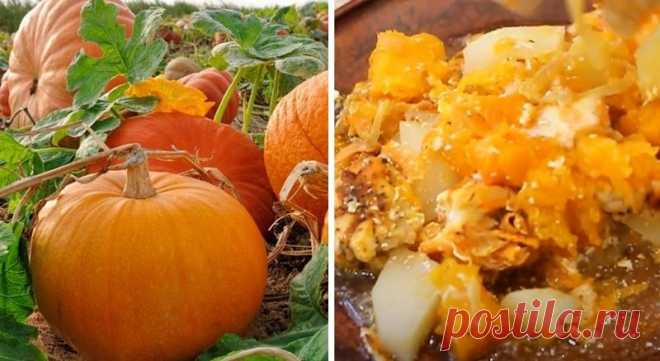 Как приготовить картофель с тыквой и мясом в духовке