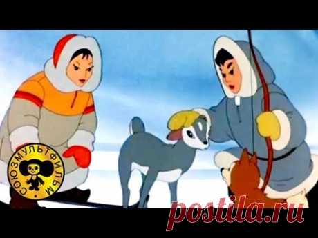 В яранге горит огонь