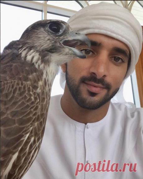 Красиво жить не запретишь: сказочная жизнь наследного принца Дубая