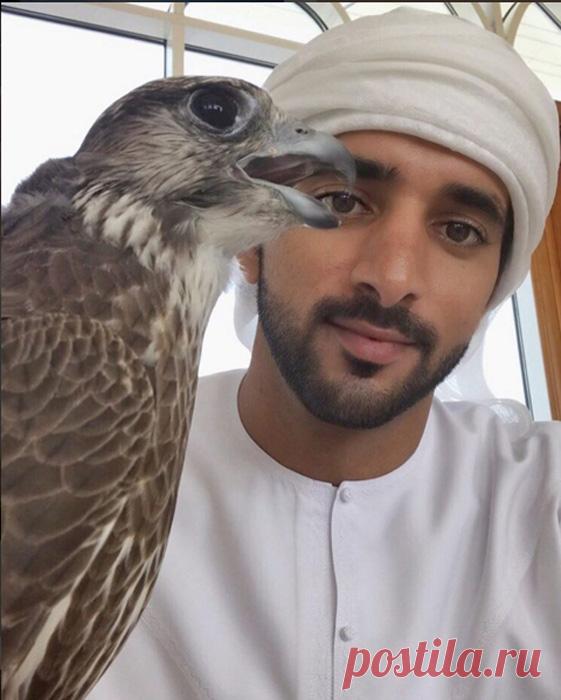 Красиво жить не запретишь: сказочная жизнь наследного принца Дубая