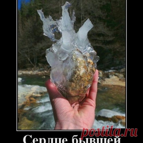 Демотиваторы подборочкой для хорошего настроения