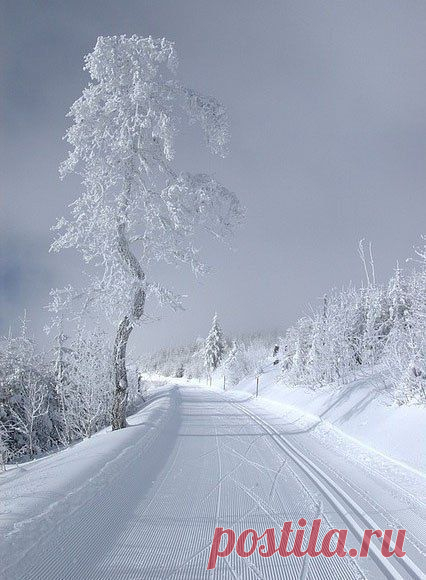 Интересные новости