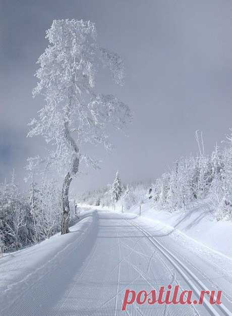 Интересные новости