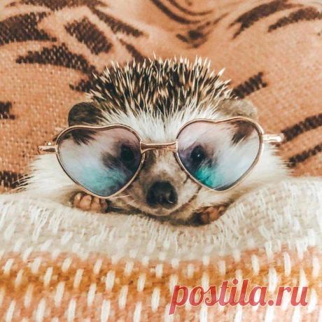 Mintys Materializuojasi - Įrašai