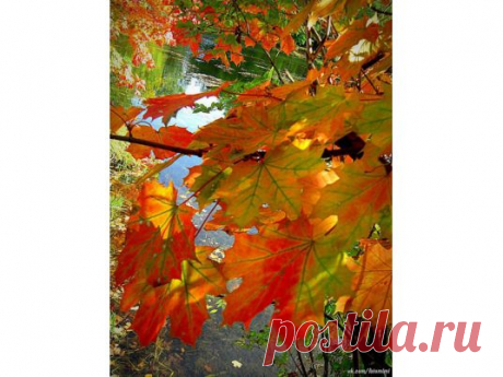 Жемчужины южного Подмосковья (Дубровицы-Остафьево) 
Путешествие по Подмосковью таит множество открытий. В Дубровицах Вы побываете в необыкновенном храме, сочетающем самые разные архитектурные стили от готики до традиционной православной архитектуры. А затем с экскурсией мы объедем несколько дворянских усадеб, где узнаем, как на самом деле жили наши предки в 18-19 столетии. Будет очень интересно!!!!