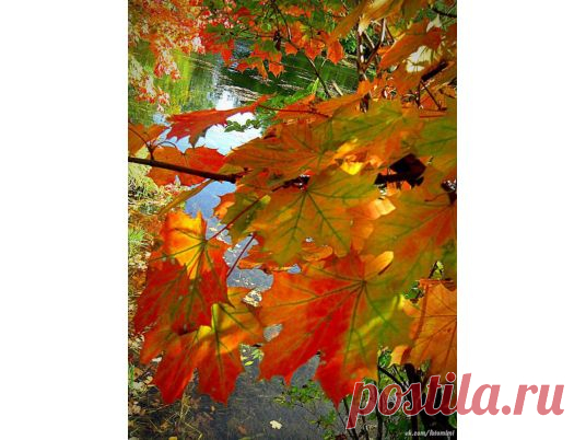 Жемчужины южного Подмосковья (Дубровицы-Остафьево) 
Путешествие по Подмосковью таит множество открытий. В Дубровицах Вы побываете в необыкновенном храме, сочетающем самые разные архитектурные стили от готики до традиционной православной архитектуры. А затем с экскурсией мы объедем несколько дворянских усадеб, где узнаем, как на самом деле жили наши предки в 18-19 столетии. Будет очень интересно!!!!