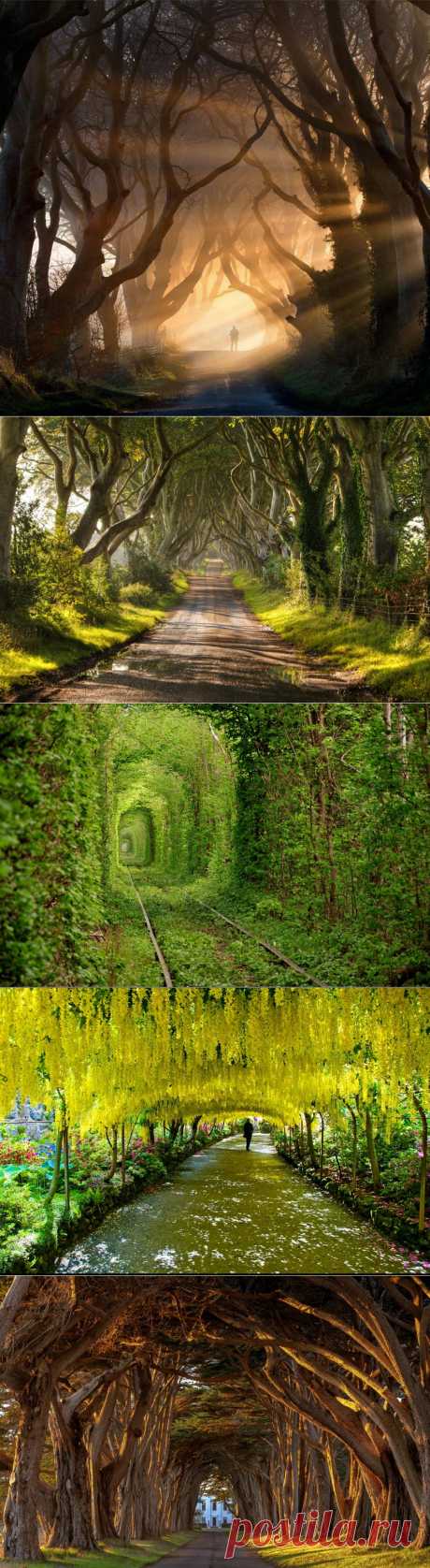 Самые красивые тоннели в мире