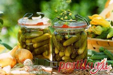 Маринованные огурцы: вкусные рецепты