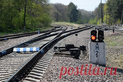 Появились новые подробности гибели комментатора Гришина