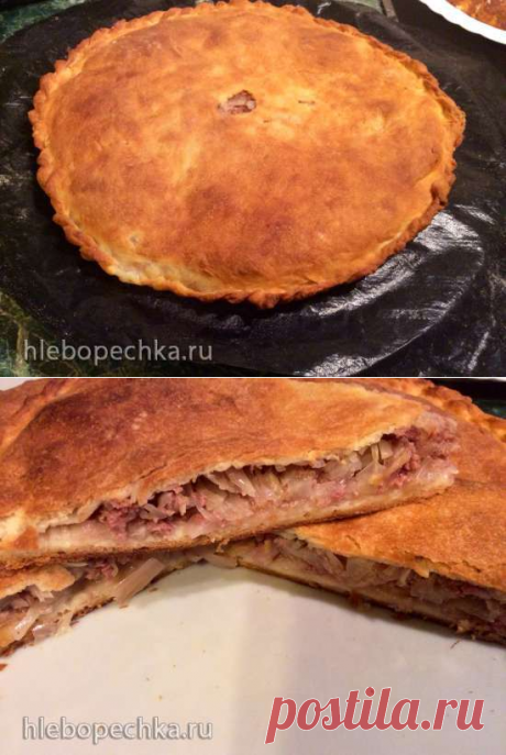 Пирог с мясом и капустой (пиццепечь Принцесс) - ХЛЕБОПЕЧКА.РУ - рецепты, отзывы, инструкции