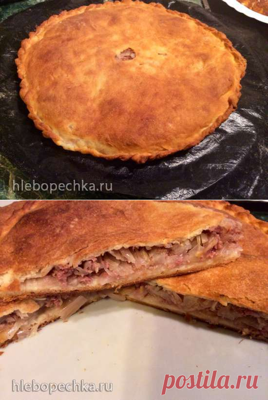 Пирог с мясом и капустой (пиццепечь Принцесс) - ХЛЕБОПЕЧКА.РУ - рецепты, отзывы, инструкции