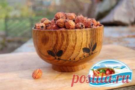 Боярышник. Рецепты для вкусных заготовок