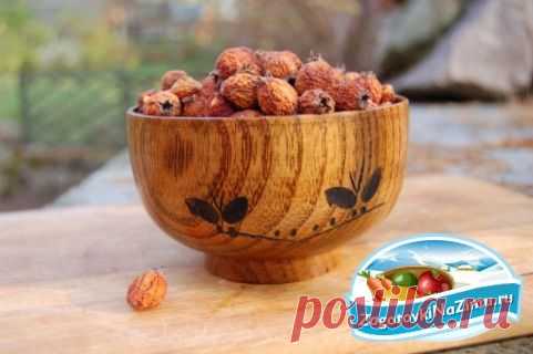 Боярышник. Рецепты для вкусных заготовок
