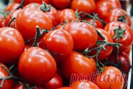 Названы помогающие от вздутия живота продукты. Некоторые продукты помогают от вздутия живота, рассказала проктолог Елена Смирнова. Среди таких продуктов она назвала сельдерей — он борется с обезвоживанием, тем самым защищая от вздутия. Кроме того, снизить риск этой проблемы, по словам Смирновой, могут богатые калием авокадо и томаты.