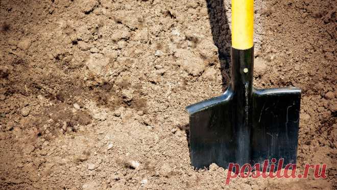 В Ленобласти иностранца госпитализировали после похищения и избиения лопатой. В Ленобласти иностранец попал в больницу после встречи с двумя местными жителями. Об этом сообщает 78.ru. Инцидент произошел в Гатчине. Мужчины избили 20-летнего гражданина Молдовы, после чего его затолкали в машину и отвезли в гараж, где ...