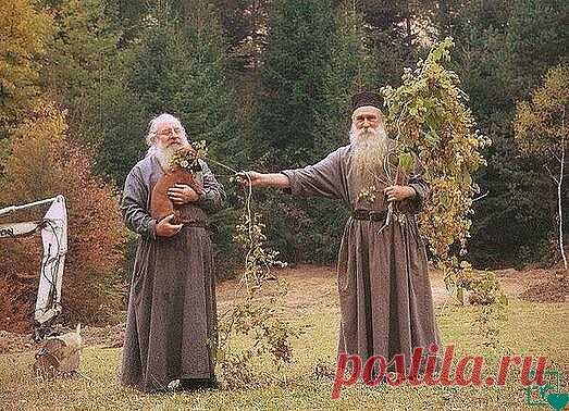 ЭТИ СОВЕТЫ ЗНАХАРЕЙ НУЖНО ЗНАТЬ