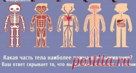 Какая часть тела наиболее важна для выживания? Ваш ответ скрывает то, что вы должны изменить в жизни.
