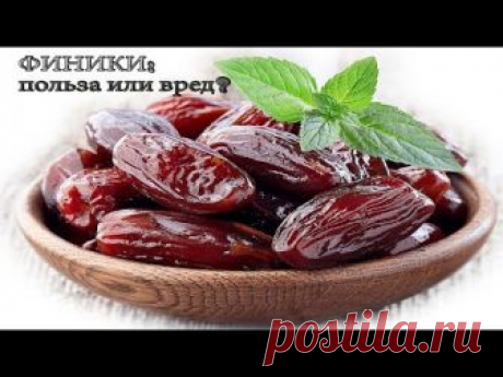 Финики: польза и вред в ежедневном питании. | Polza-vred.su