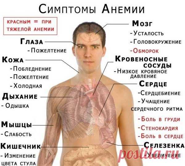 Как повысить гемоглобин в крови быстро. Норма гемоглобина. | Блог Алёны Кравченко