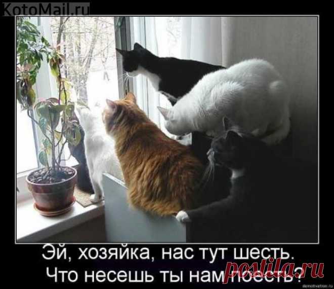 Что несёшь?