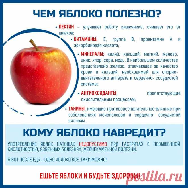 Чем полезно яблоко