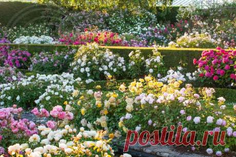 Прекрасная Долина Роз