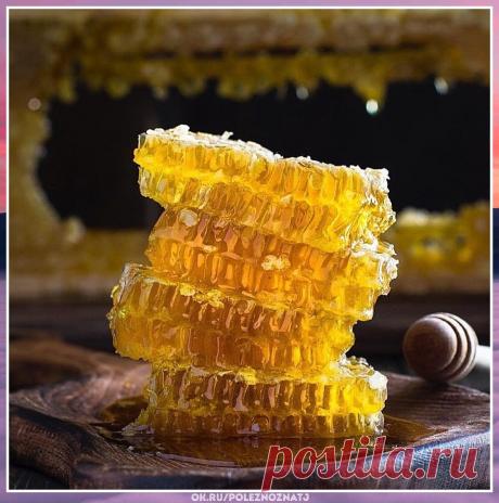 Натуральные витамины: практически как антибиотики

С тех пор, как антибиотики были впервые обнаружены в середине 19 века, они спасали людей разными способами. Однако их чрезмерное использование стало проблемой, поскольку бактерии больше не реагируют на них, создавая устойчивость к антибиотикам.

Сырой мед
Сырой мед — отличный источник витаминов, минералов, антиоксидантов, ферментов и антимикробных свойств. Он также содержит прополис и пчелиную пыльцу, оба из которых повыша...