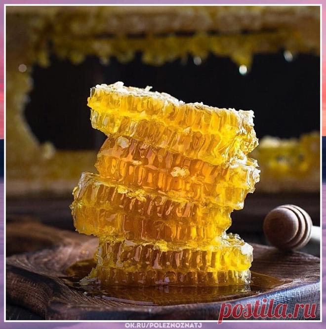 Натуральные витамины: практически как антибиотики

С тех пор, как антибиотики были впервые обнаружены в середине 19 века, они спасали людей разными способами. Однако их чрезмерное использование стало проблемой, поскольку бактерии больше не реагируют на них, создавая устойчивость к антибиотикам.

Сырой мед
Сырой мед — отличный источник витаминов, минералов, антиоксидантов, ферментов и антимикробных свойств. Он также содержит прополис и пчелиную пыльцу, оба из которых повыша...