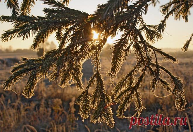 Тверская обл., октябрь 2010 г.