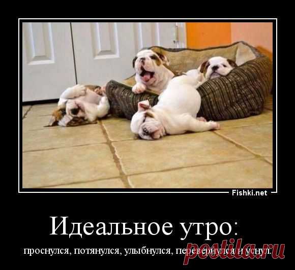 Демотиваторы: смешные и прикольные, про девушек в картинках горячее - Фишки.нет