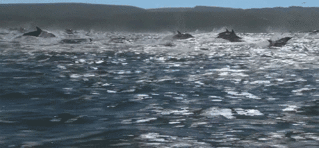 h-63.jpg (500×232)