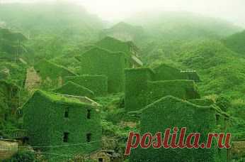 Kirill Gerusov – Google+