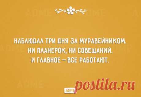 20 открыток о нашей с вами жизни