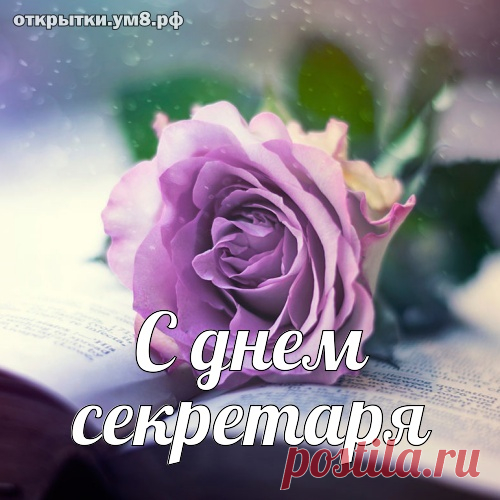 С днем секретаря
Тебя сегодня лично поздравляю,
Так можешь только ты, тепло даря,
Работать целый день, не уставая.