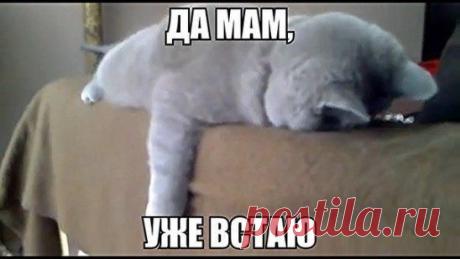 Юмор ✓ Позитив ✓ Анекдоты