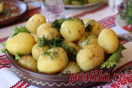 Картошка в русской кухне: 4 рецепта
Сегодня кажется, что картошка на Руси была всегда. Ну какое блюдо может быть более русским, чем картофель «в мундире» с подсолнечным маслом, квашеной капустой и луком? Или с селедочкой? Но на самом деле картошка просто хорошо пришлась ко двору, как говорится. Прочно вросла в русскую кухню, так что теперь и кажется, что она всегда тут […]
Читай дальше на сайте. Жми подробнее ➡