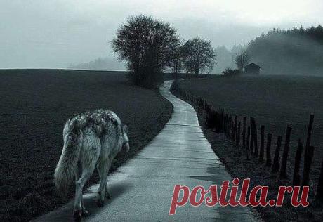 Есть дороги, которые нужно пройти в одиночку… Есть моменты, где нужно ставить точку… Есть ситуации, когда стоит прощаться… И люди, к которым лучше не возвращаться!