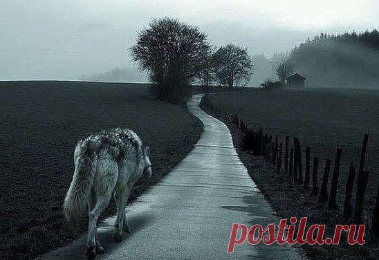 Есть дороги, которые нужно пройти в одиночку… Есть моменты, где нужно ставить точку… Есть ситуации, когда стоит прощаться… И люди, к которым лучше не возвращаться!