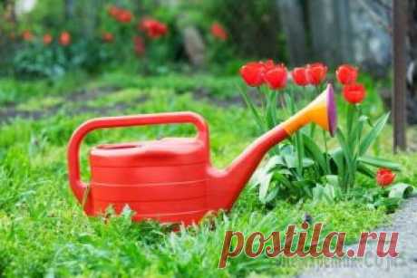 Что делать в цветнике в мае − полный перечень работ Интенсивная работа в цветнике идет с начала мая. Заботы цветовода направлены в основном на подбор и посадку растений. Если вы хотите, чтобы участок утопал в цветах с первых теплых дней и до заморозков...