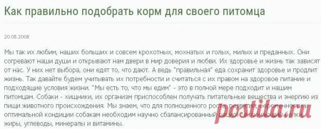 Как правильно подобрать корм для своего питомца