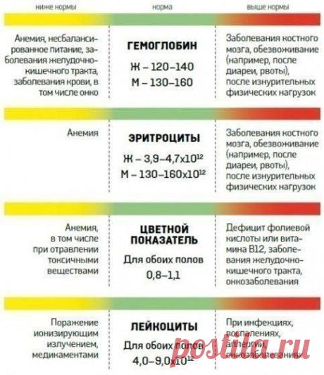 Новости