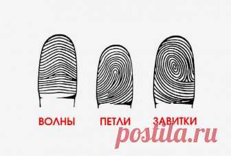 Посмотри на свои руки: а вдруг ты гений?