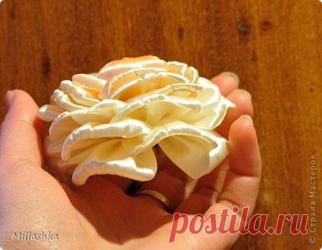 Мастер-класс Пышная роза или Роза для ленивых