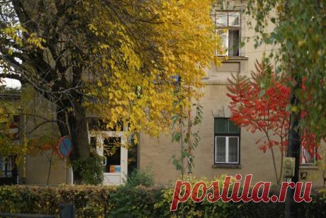 жилой массив